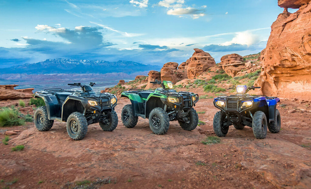 Honda 300 Fourtrax exterior